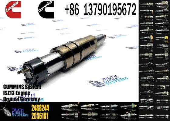 2488244 2036181 2872544 2086663 Injector 2057401 2872405 2438101 DC09 DC13 DC16 Injector 2872544