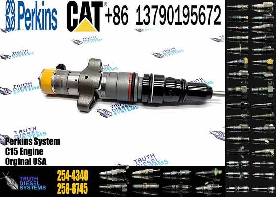 Diesel Fuel Injector 254-4340 245-3516 254-4330 254-4339 for Caterpillar C9 Engine