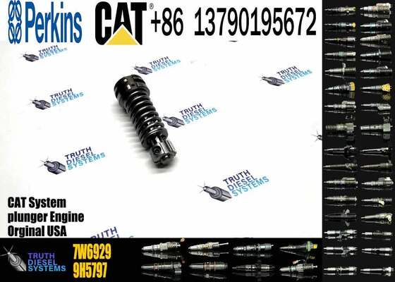 High Quality Fuel Injection Pump Plunger 9H5797 1W6541 7W5929 6N7828 7W6929 HRCA4P9830 for Excavator