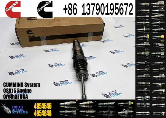 Auto Parts Diesel Engine Fuel Injector 4704357 4954645 4954646