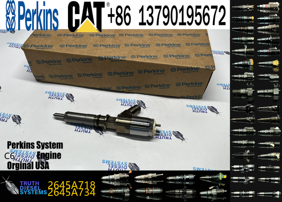 Excavator Parts Suppliers Excavator Injector 2645A749 2645A719 2645A718 2645A751 2645A746 2645A745 for C6.6 Cat Engine