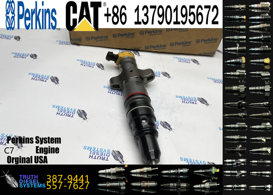 Diesel Common Rail Injector 387-9427 387-9430 20R-8057 387-9441 20R-8067 20R-9079 20R-8066 10R-4761 10R-4762 10R-4763 10R-7225