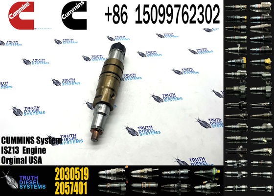Diesel Common Rail Fuel Injector 1948565 2030519 2031836 2031835 2086663 2057401 2419679 4905880 2894920PX 2482244