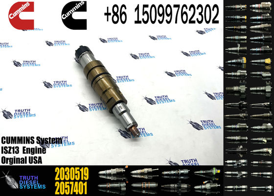 Diesel Common Rail Fuel Injector 1948565 2030519 2031836 2031835 2086663 2057401 2419679 4905880 2894920PX 2482244
