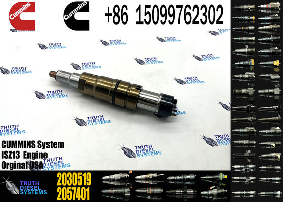 Diesel Common Rail Fuel Injector 1948565 2030519 2031836 2031835 2086663 2057401 2419679 4905880 2894920PX 2482244