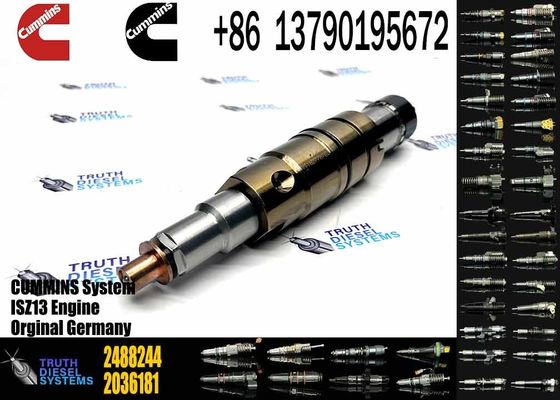 2488244 2036181 2872544 2086663 Injector 2057401 2872405 2438101 DC09 DC13 DC16 Injector 2872544