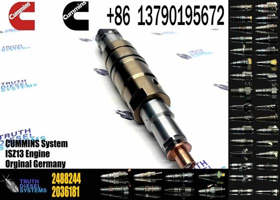 2488244 2036181 2872544 2086663 Injector 2057401 2872405 2438101 DC09 DC13 DC16 Injector 2872544