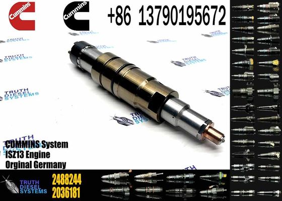 2488244 2036181 2872544 2086663 Injector 2057401 2872405 2438101 DC09 DC13 DC16 Injector 2872544