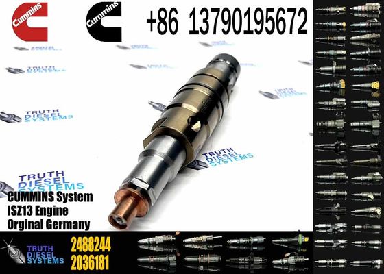 2488244 2036181 2872544 2086663 Injector 2057401 2872405 2438101 DC09 DC13 DC16 Injector 2872544