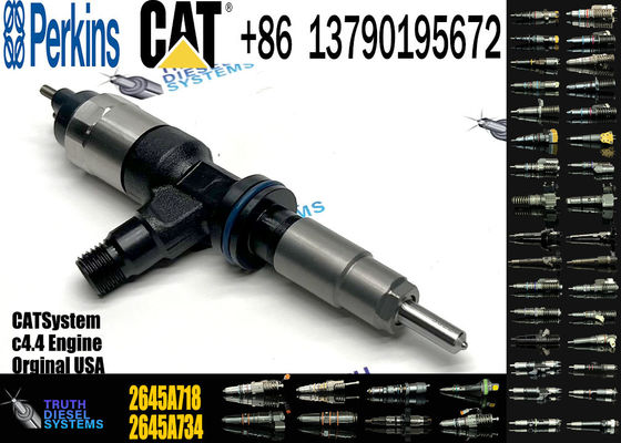 Common rail Fuel Injector 2645A718 2645A734 2645A747 For Perkins Engine 1104D-E44TA Caterpillar C4.4 C6.6 M315D M318D M322D