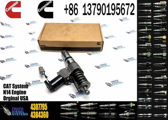 Common Rail Fuel Injector 4307795 3073995F for Cummins QSN14 N14 Engine
