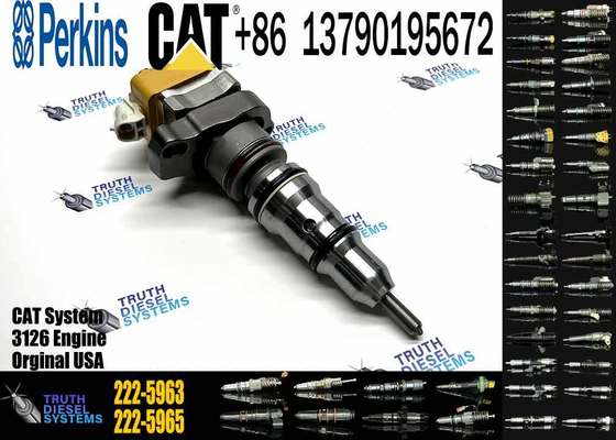 CaDiesel Engine Injector 232-1171 138-8756 222-5963 222-5972 173-4059 Caterpillar C3126 Common Rail Injection Valves