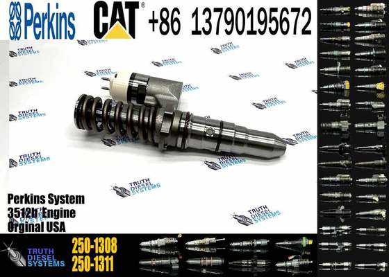 New 250-1312 250-1311 250-1308 250-1306 250-1304 250-1303 Diesel Injector for Auto Part Car Common Rail Fuel