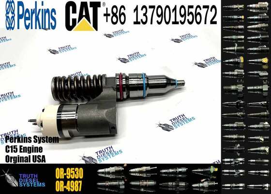 10R-0960 10R0960 1660149 166-0149 Fuel Injector for CAT C10 C12 3176 3196 C-12 Engine 194-5083 OR-9530 20R-1264 20R-1265