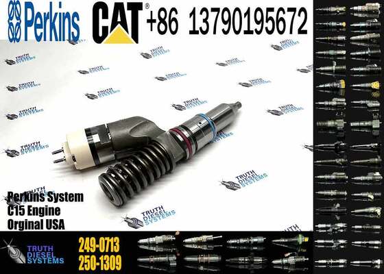 Excavator Engine Parts Fuel Injector 249-0707 249-0708 2490708 249-0712 249-0713 249-0746 250-1302 250-1303 250-1304 250-1306