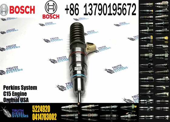 Hot Sell Common Rail Fuel Injector 0414703003 0414703005 0414703007 5224920