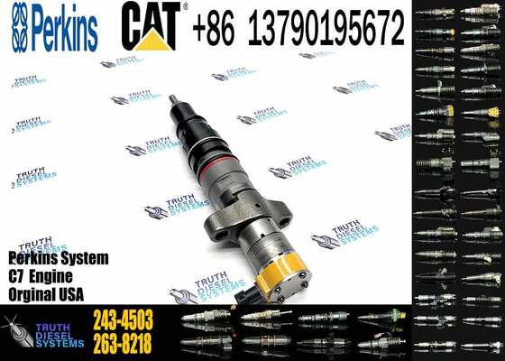 ERIKC 295 1409 Fuel Pump Injector 295-1409 243 4503 Common Rail Injector 2434503 Diesel Truck Injection 2951409 243-4503