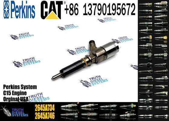 New Quality Common Rail Fuel Injector 306-9380 2645A734 Engine Fuel Injector for Engine C6.6