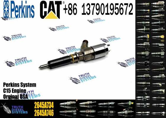 New Quality Common Rail Fuel Injector 306-9380 2645A734 Engine Fuel Injector for Engine C6.6