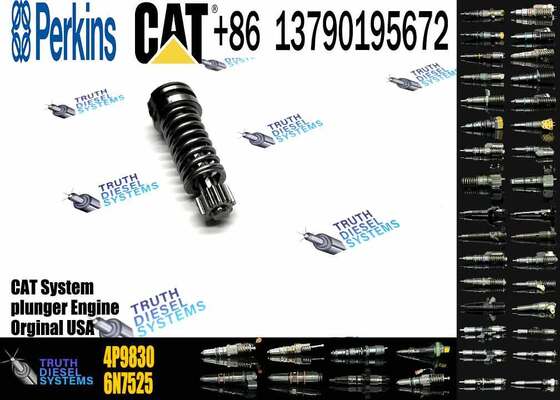Excavator Plunger 4P-9830 CAT 3306B 3306 Diesel Fuel Injection Pump Element Plunger 4P9830 1W6541