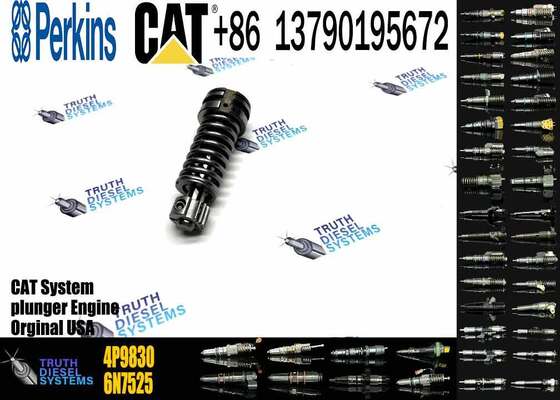 Excavator Plunger 4P-9830 CAT 3306B 3306 Diesel Fuel Injection Pump Element Plunger 4P9830 1W6541