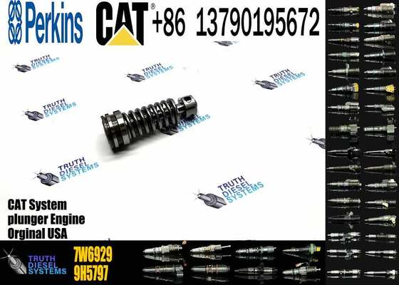 High Quality Fuel Injection Pump Plunger 9H5797 1W6541 7W5929 6N7828 7W6929 HRCA4P9830 for Excavator