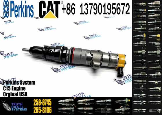 New Common Rail Injector 328-2574 10R-2828 328-2576 10R-4844 258-8745 328-2573 for diesel Engine CAT