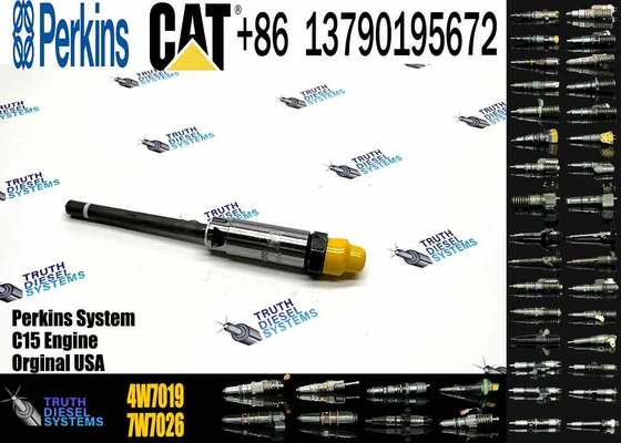 Excavator Diesel Common Rail Fuel Injector Assembly 4W-7015 4W7015 4W-7016 4W7017 4W7018 4W7019 1705181 Fuel 3204 3208