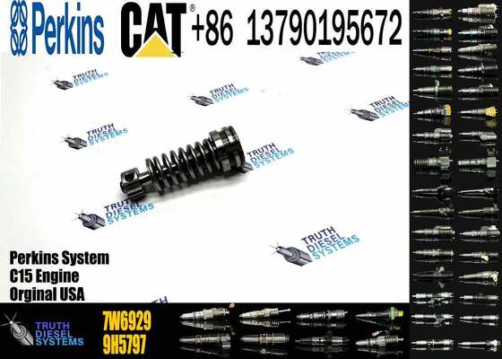 High Quality Fuel Injection Pump Plunger 9H5797 1W6541 7W5929 6N7828 7W6929 HRCA4P9830 for Excavator