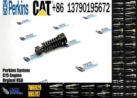 High Quality Fuel Injection Pump Plunger 9H5797 1W6541 7W5929 6N7828 7W6929 HRCA4P9830 for Excavator