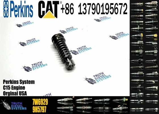 High Quality Fuel Injection Pump Plunger 9H5797 1W6541 7W5929 6N7828 7W6929 HRCA4P9830 for Excavator