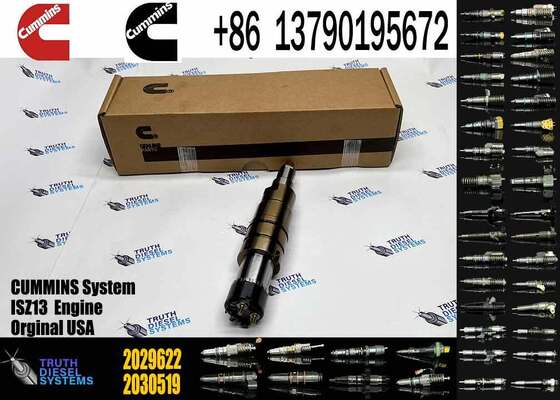 2029622 Injector Genuine Fuel Injector 1948565 2030519 2031836 2031835 2086663 2031835 2030519 2057401 2488244 4327147