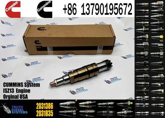 New 2894920PX 2058444 2482244 2031386 Common Rail Injector for ISZ13 Excavator Diesel Fuel DC09 DC16 DC13