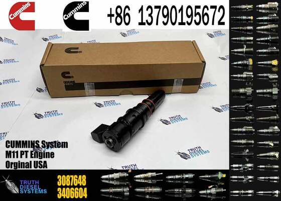 PTM11 Injector Excavator Engine Injectors 3411821 3087648 3406604