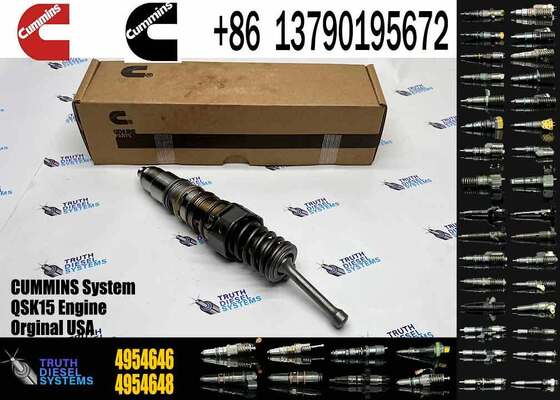 Auto Parts Diesel Engine Fuel Injector 4704357 4954645 4954646