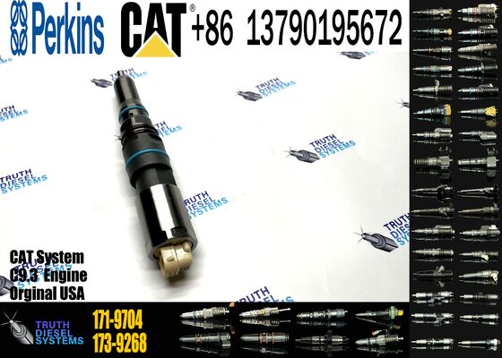 New Fuel Injector 171-9704 1719704 20R-5075 3861809 386-1809 382-0709 4563493 456-3493 for C-aterpillar C-aterpillar C9.3 D6T D7E