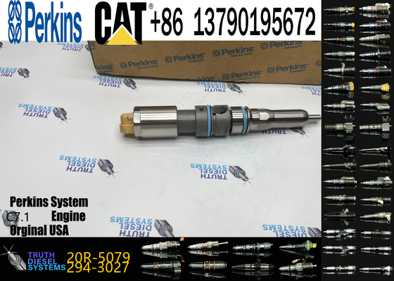 Diesel Engine Auto Parts Common Rail Fuel Injector 456-3544 20R-5079 for Engine C-9