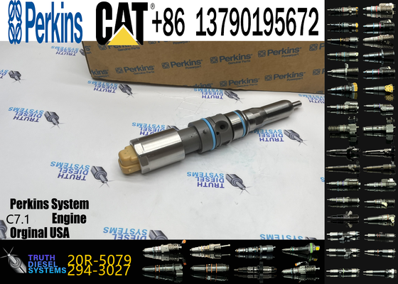 Diesel Engine Auto Parts Common Rail Fuel Injector 456-3544 20R-5079 for Engine C-9