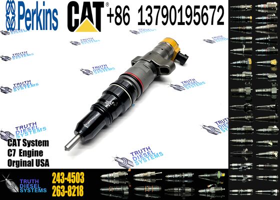 295 1409 Fuel Pump Injector 295-1409 243 4503 Common Rail Injector 2434503 Diesel Truck Injection 2951409 243-4503