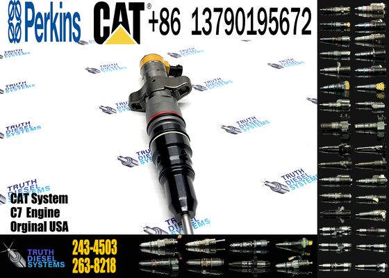 295 1409 Fuel Pump Injector 295-1409 243 4503 Common Rail Injector 2434503 Diesel Truck Injection 2951409 243-4503