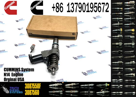 3087560 3411381 3411764 4307776 3073995F 3087558F 3087733 3411385 3411765 Fuel Injector Assembly Excavator Attachment for N14