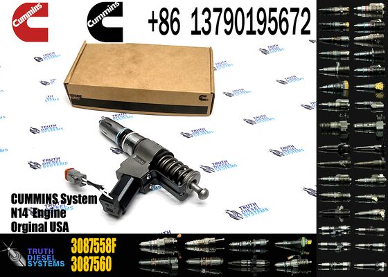 3087560 3411381 3411764 4307776 3073995F 3087558F 3087733 3411385 3411765 Fuel Injector Assembly Excavator Attachment for N14