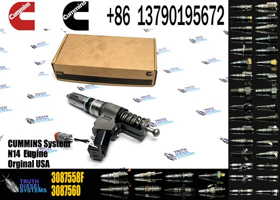 3087560 3411381 3411764 4307776 3073995F 3087558F 3087733 3411385 3411765 Fuel Injector Assembly Excavator Attachment for N14