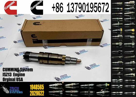 CUMMINS For Fuel Injector 2488244 2029622 1948565 2030519 2031836 2031835 2086663 2419679 2086663 2057401 1948565 2029622 1933613